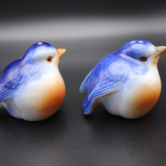 Vintage Eastern Blue Birds Salt and Pepper - Picture 4 of 13